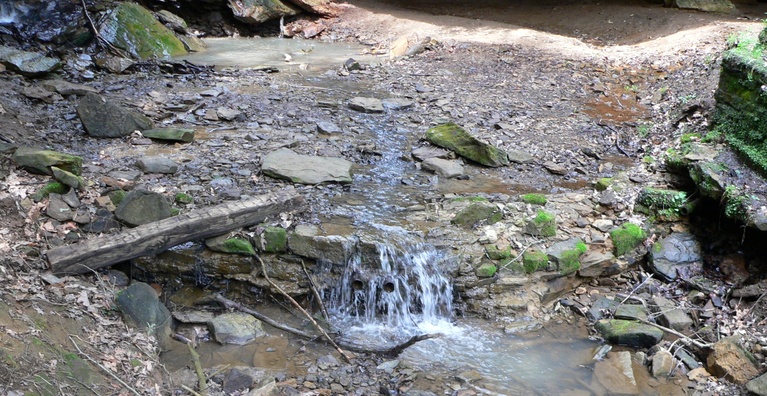 Remains of Frankfort Mineral Springs