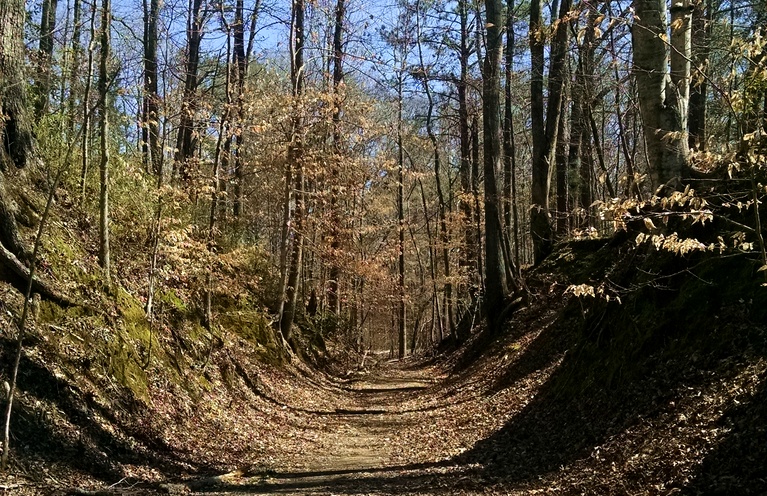 Sunken Section of the Natchez Trace