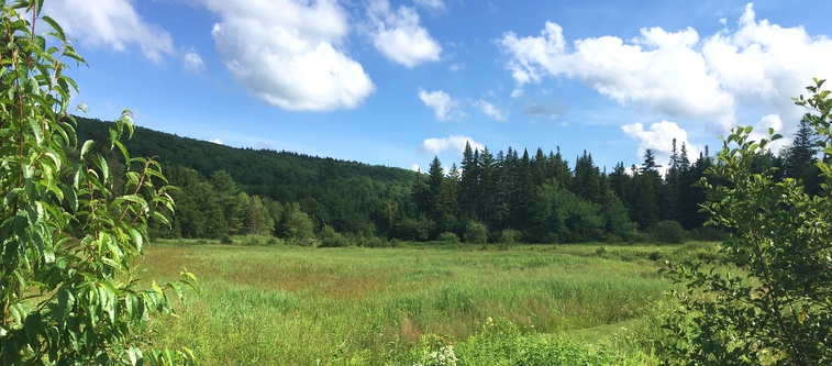 View from The Riverwalk Trail