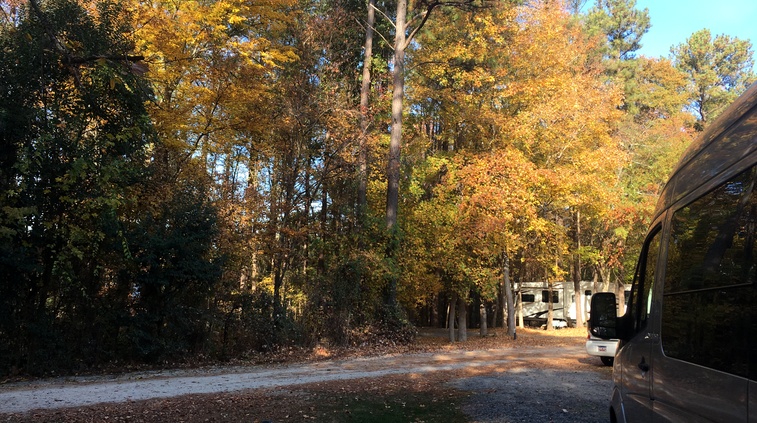 Fall Colors at Ebenezer Park