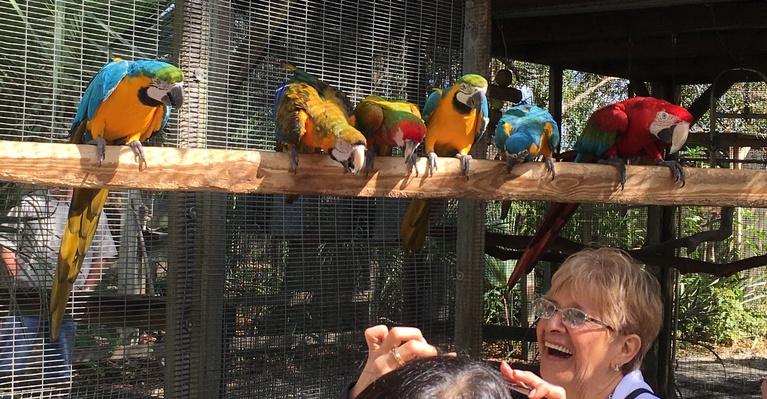 Bird Gardens of Naples