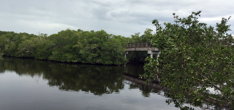 Gordon River Greenway Park