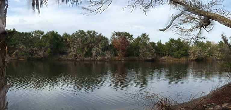 Park Shoreline