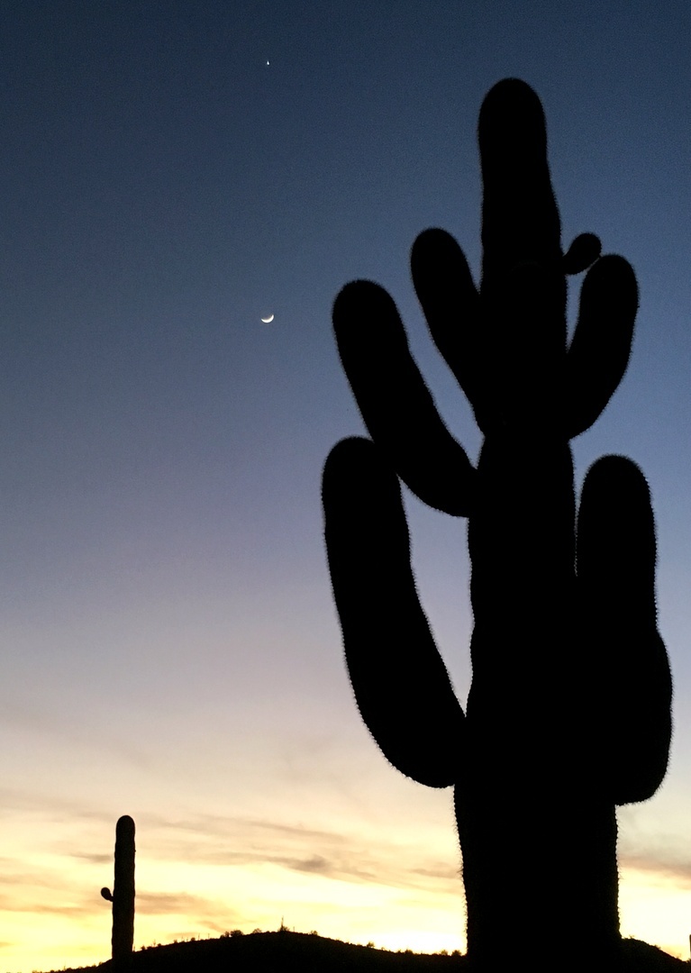 Venus, Moon & Saguro at Lake Pleasant