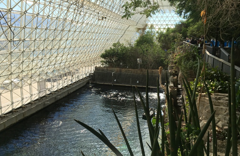 Rain Forest and Ocean