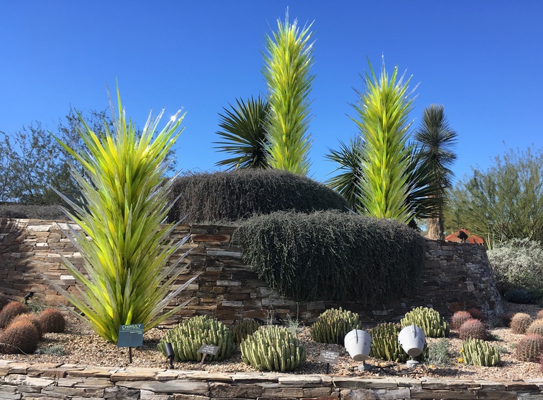 Dale Chihuly Display