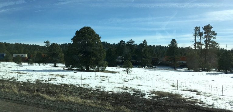 Snow at 7400 Feet West of Flagstaff