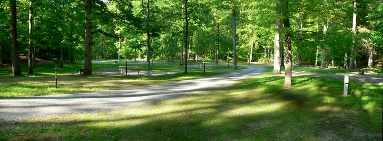 Empty Campground at Trough Creek
