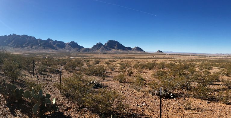 Rockhound State Park