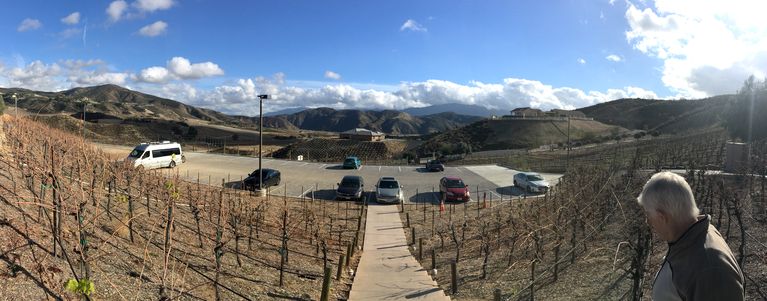 Grapes and Mountains and Blue Skies