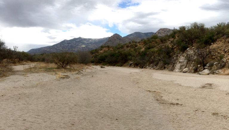 Very Dry Sutherland Wash