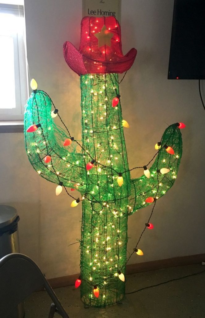 A Different Kind of Christmas Cactus