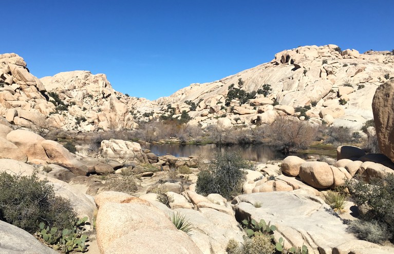 Lake Behind Barker Dam