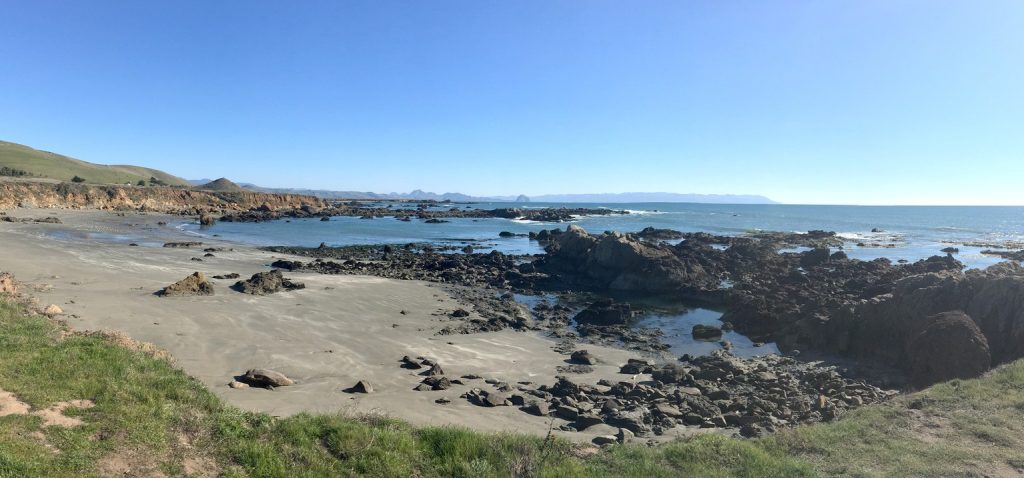 View From Estero Bay Looking South