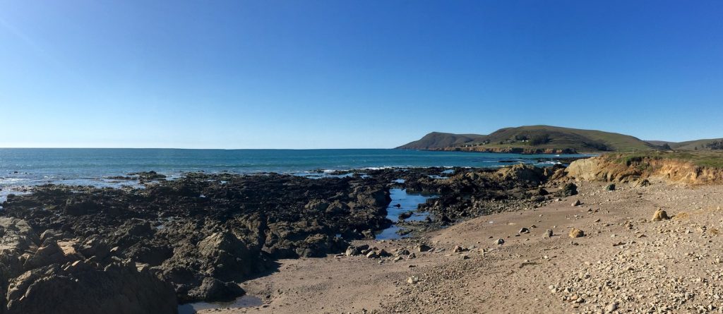 View From Estero Bay Looking North