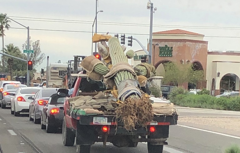 Moving a Saguaro