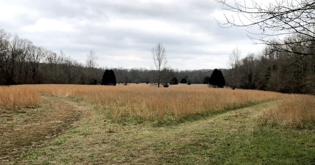 Native American Ceremonial Enclosure