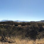 San Pedro Valley from Lower Section of Foothills Loop Trail