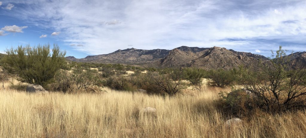 Catalina Mountains From the Nature Trail
